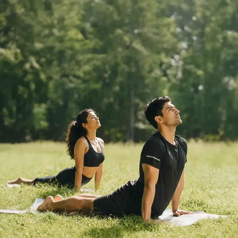 Elara · room for wellbeing